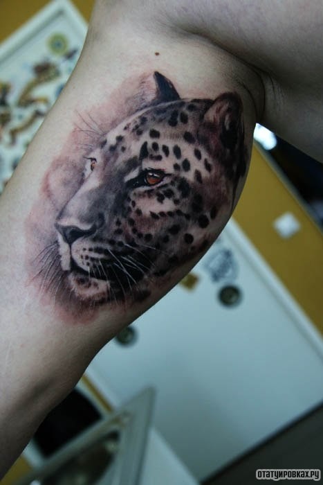 Фотография татуировки под названием «Морда леопарда»