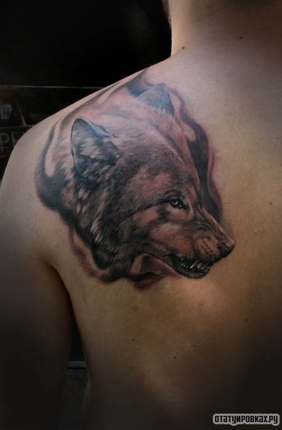 Фотография татуировки под названием «Злой волк»