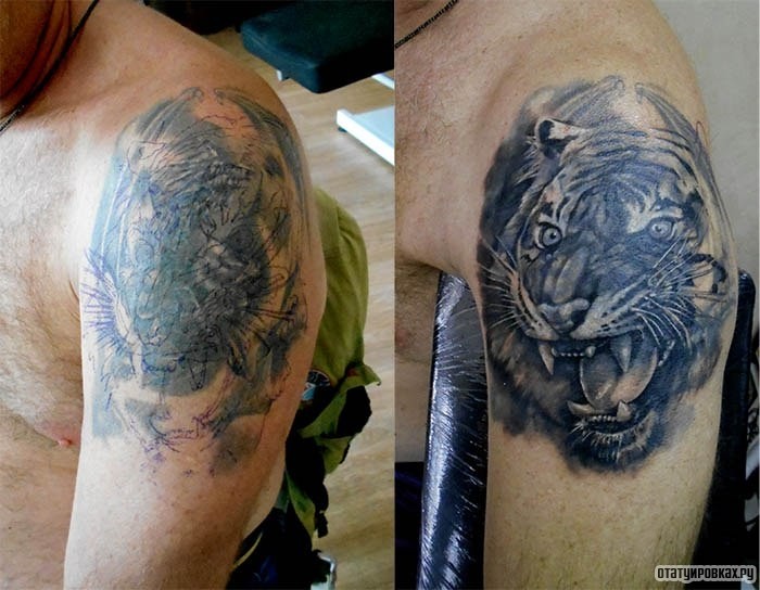 Фотография татуировки под названием «Оскал тигра»