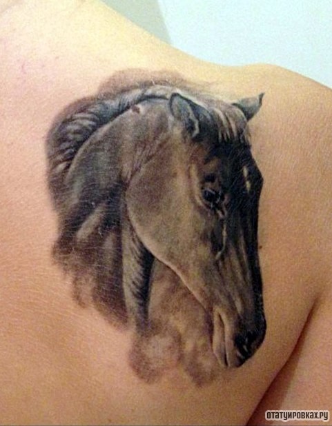 Фотография татуировки под названием «Грустная лошадь»