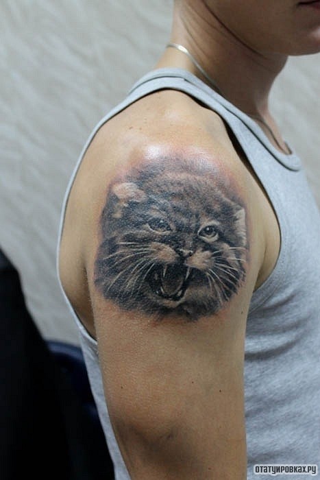 Фотография татуировки под названием «Оскал кота»