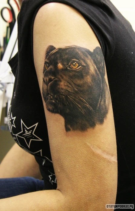 Фотография татуировки под названием «Пантера черная»