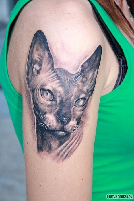 Фотография татуировки под названием «Морда сфинкса»