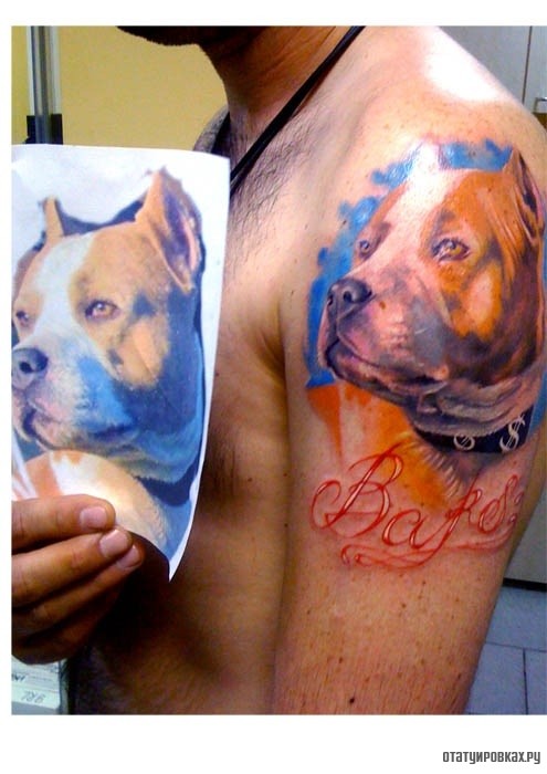 Фотография татуировки под названием «Собака Барс»