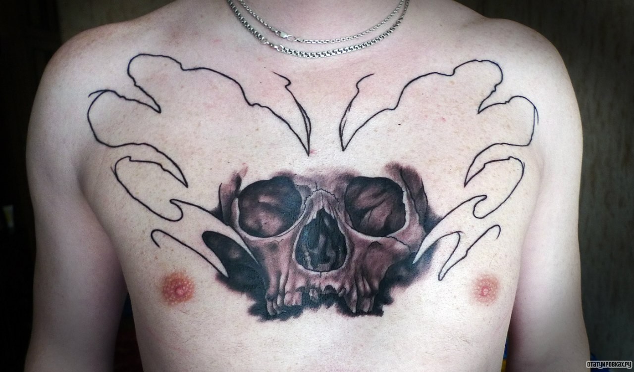 Фотография татуировки под названием «Череп наполовину»