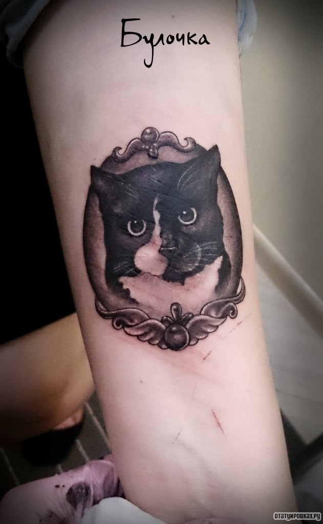 Фотография татуировки под названием «Кот в рамке»