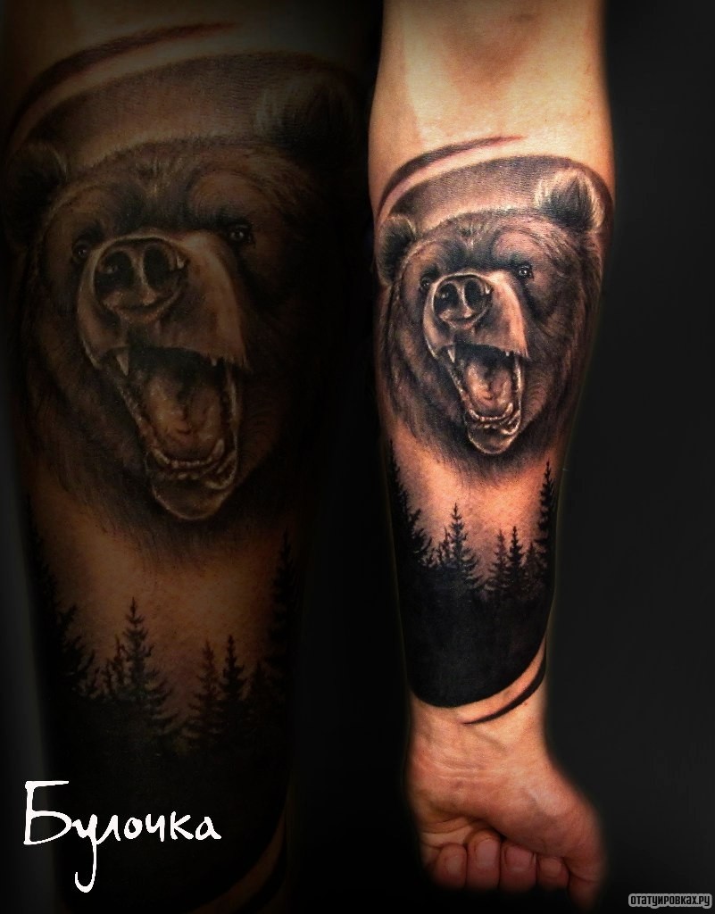 Фотография татуировки под названием «Оскал медведя и елки»