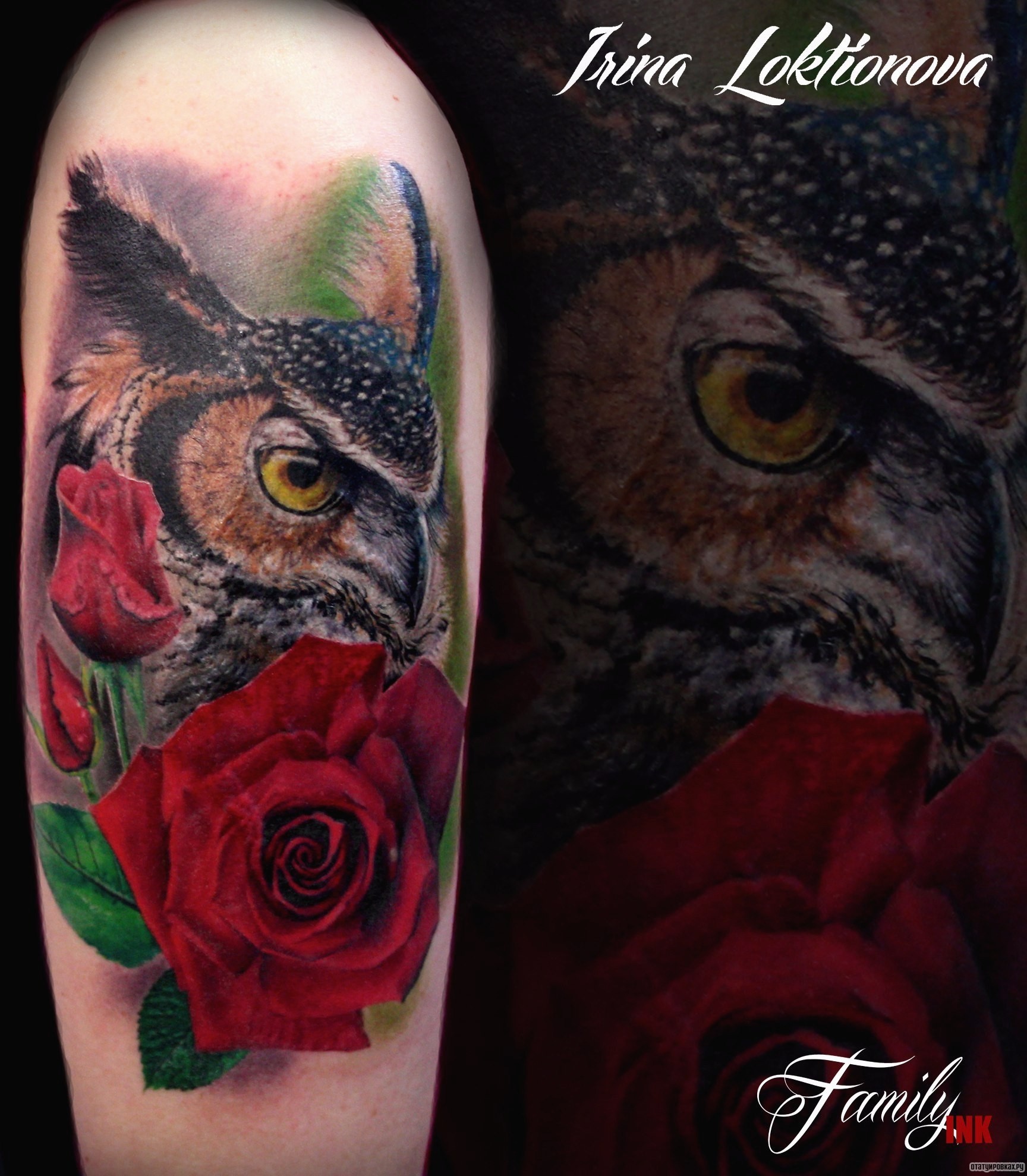 Фотография татуировки под названием «Сова и розы»