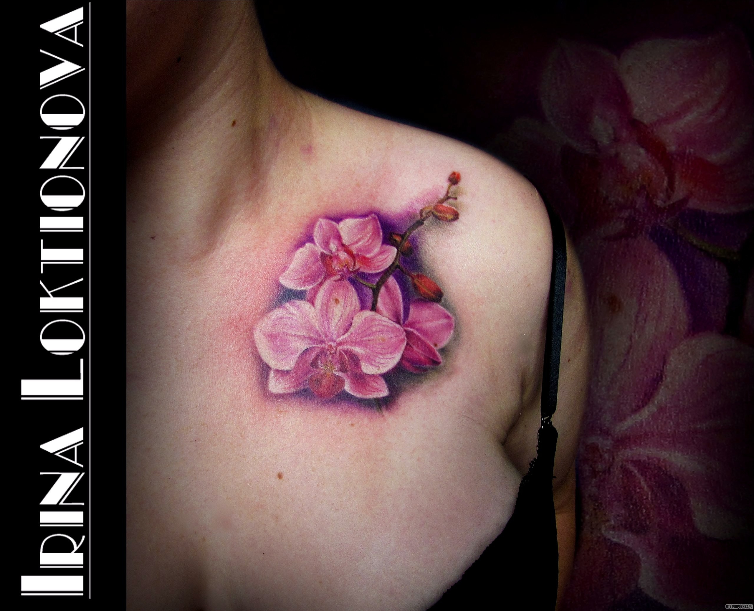Фотография татуировки под названием «Цветы сакуры»