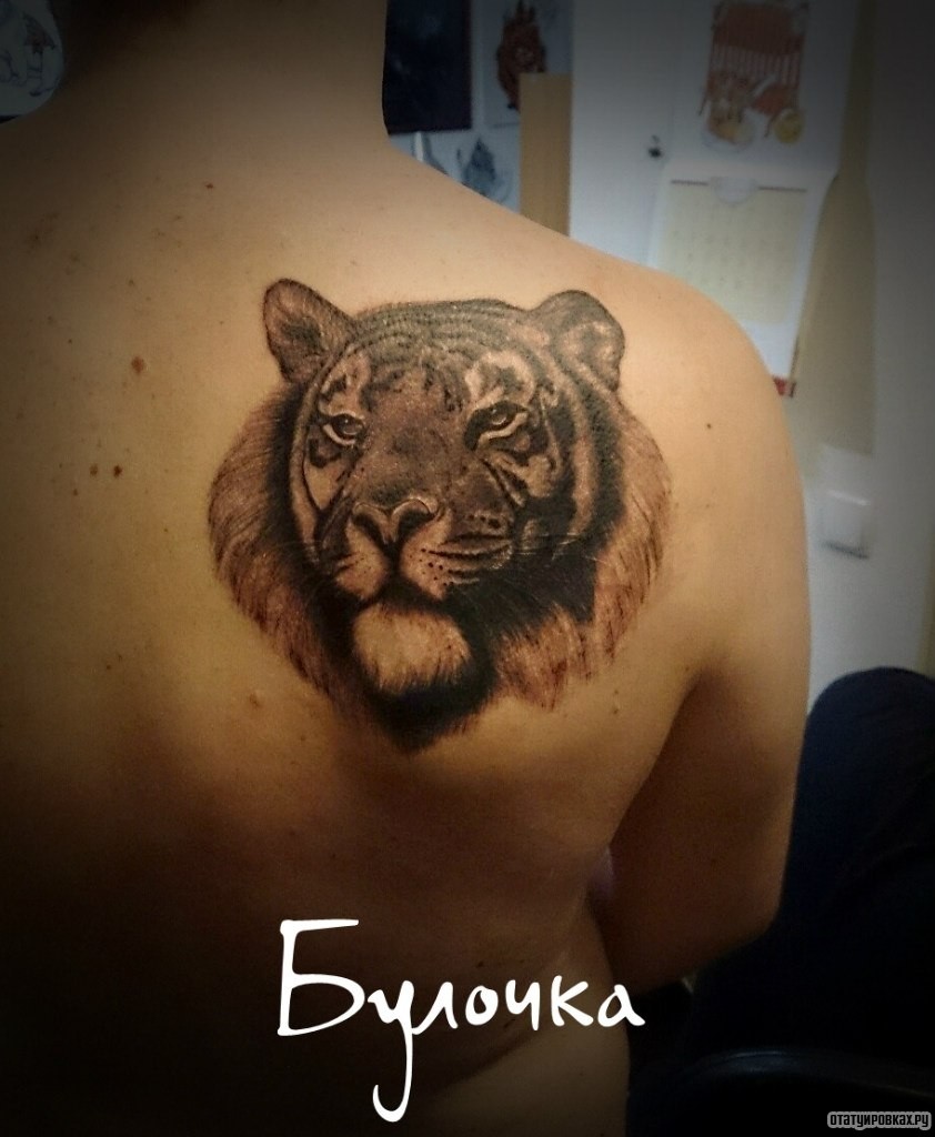 Фотография татуировки под названием «Гордый тигр»