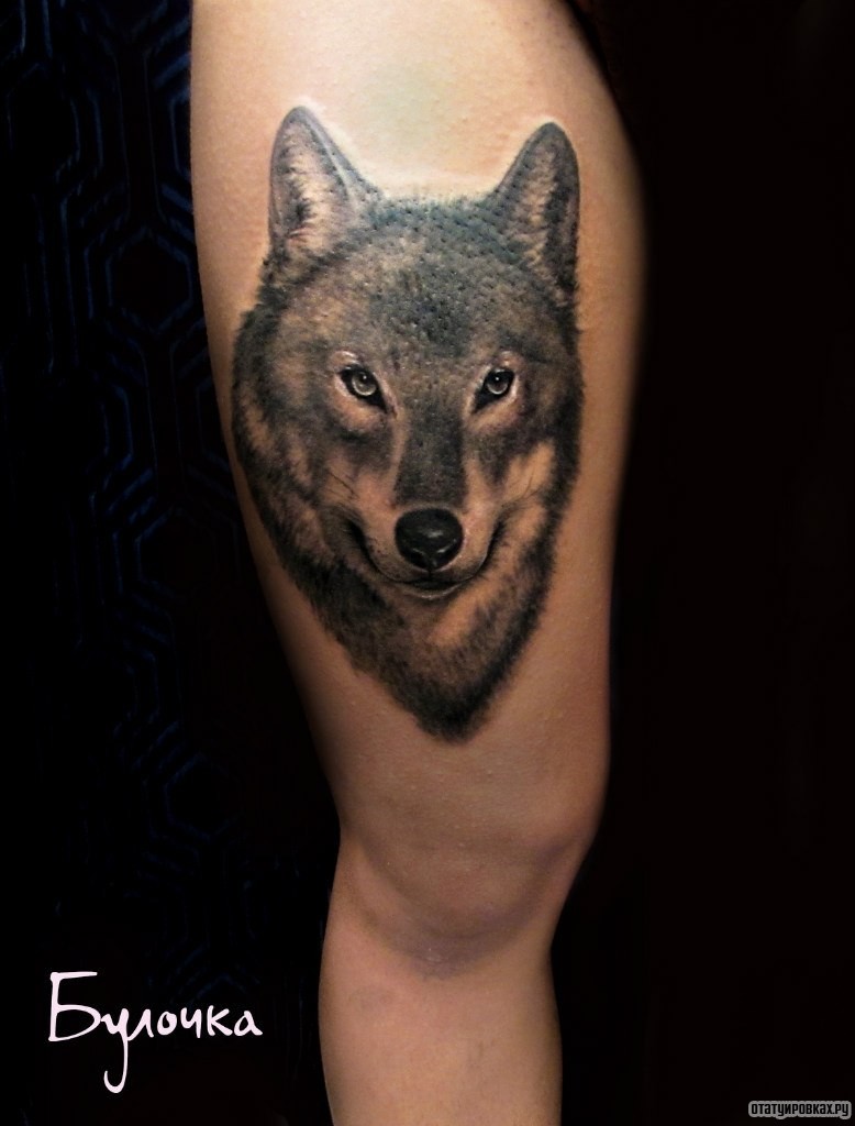 Фотография татуировки под названием «Портрет волка»