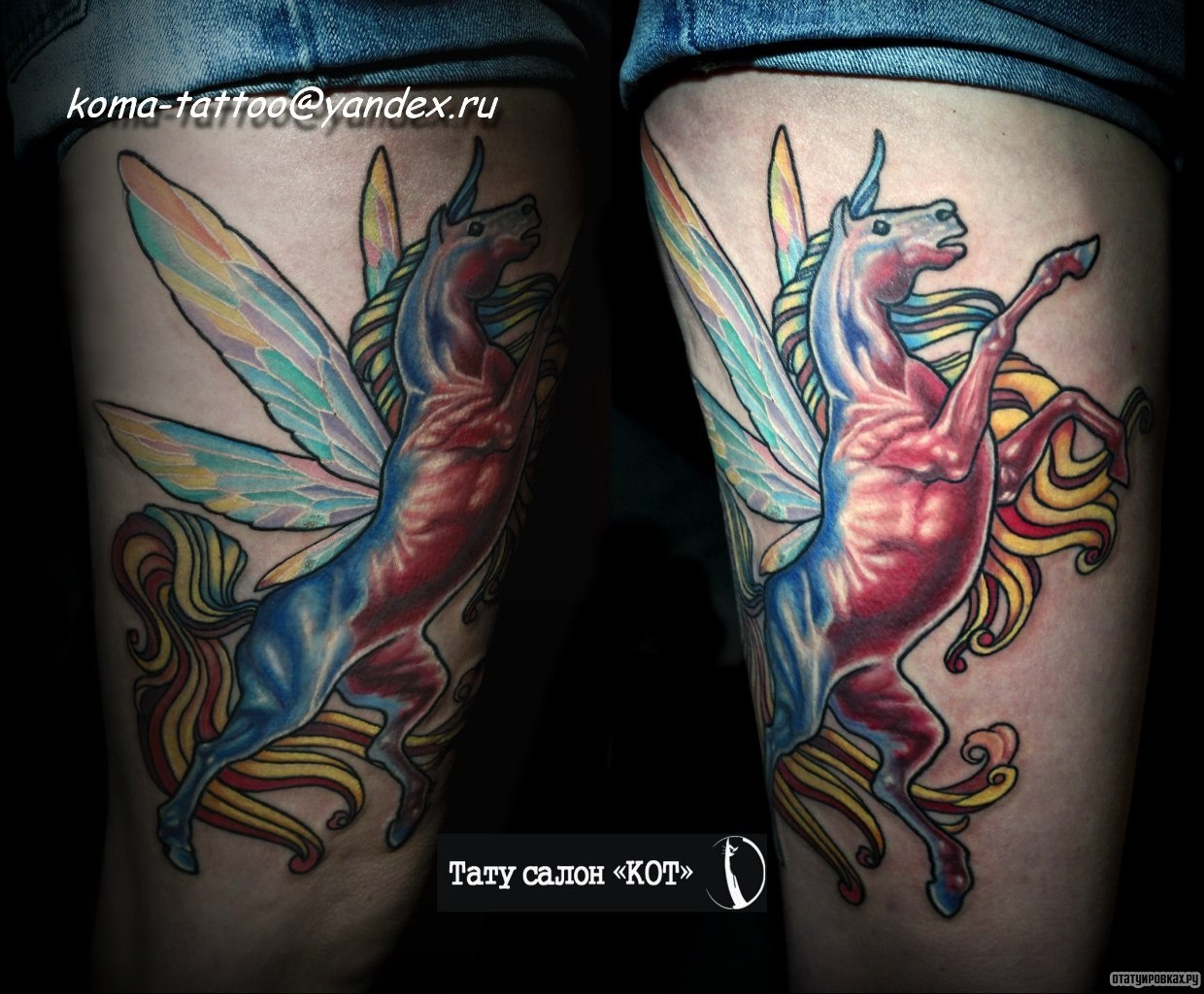 Фотография татуировки под названием «Конь с крыльями стрекозы»