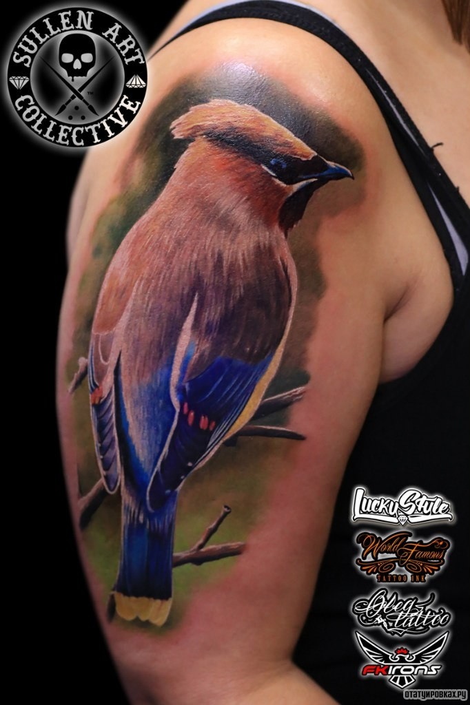 Фотография татуировки под названием «Колибри на ветке»