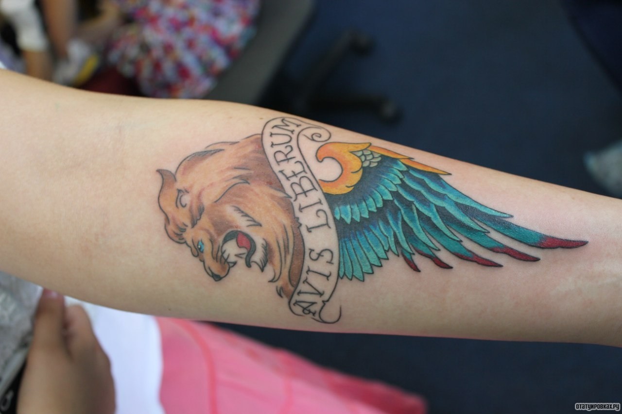 Фотография татуировки под названием «Лев и крыло»