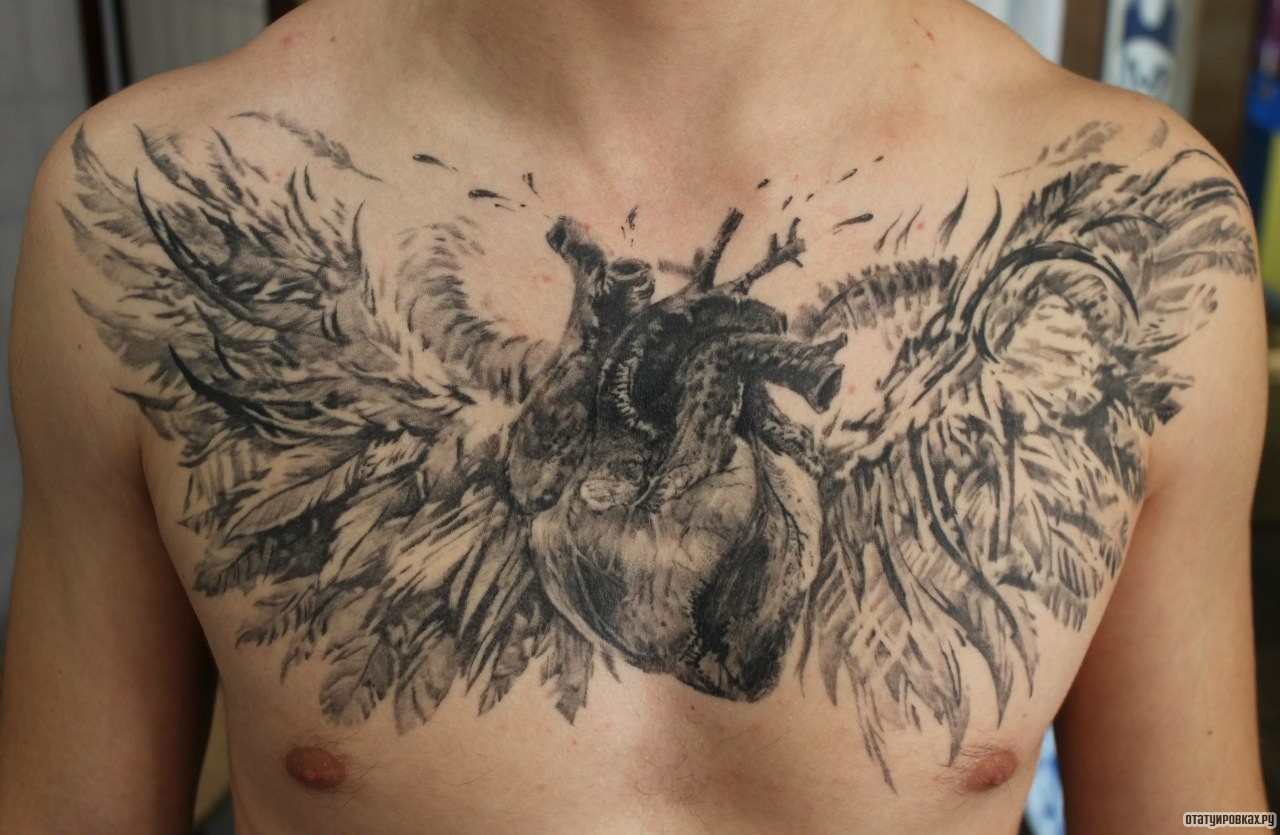 Фотография татуировки под названием «Сердце с крыльями чб»