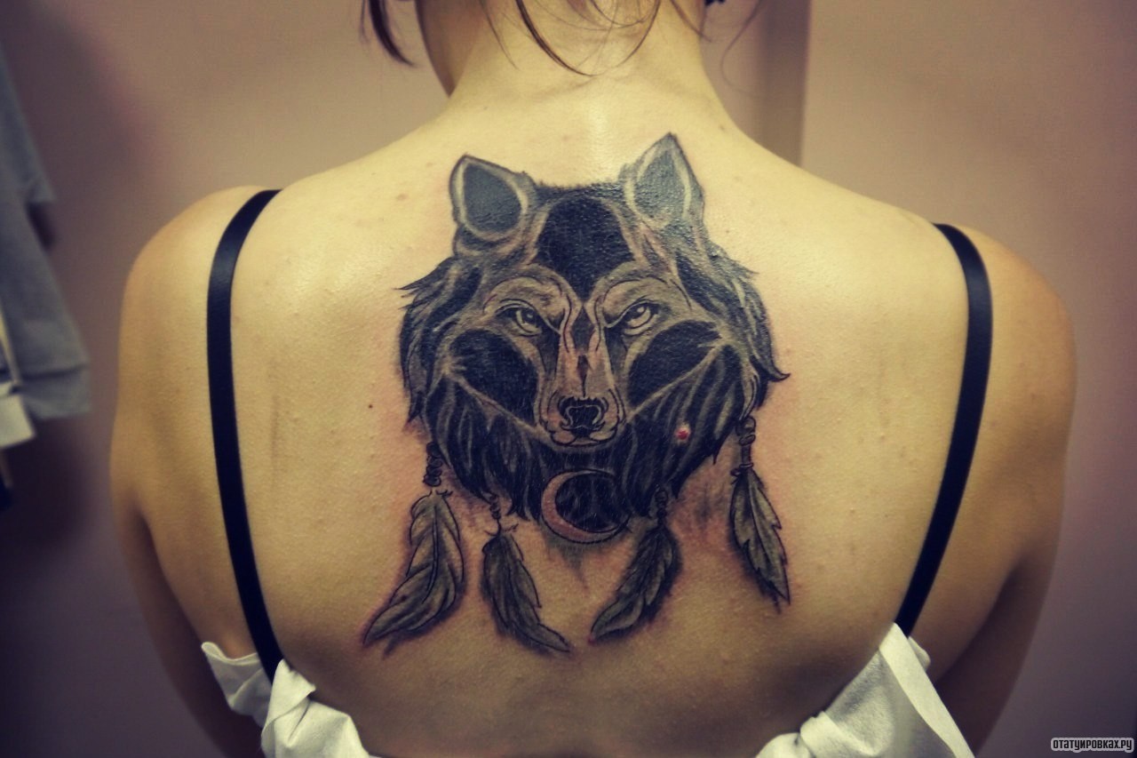 Фотография татуировки под названием «Волк индейский с перьями»