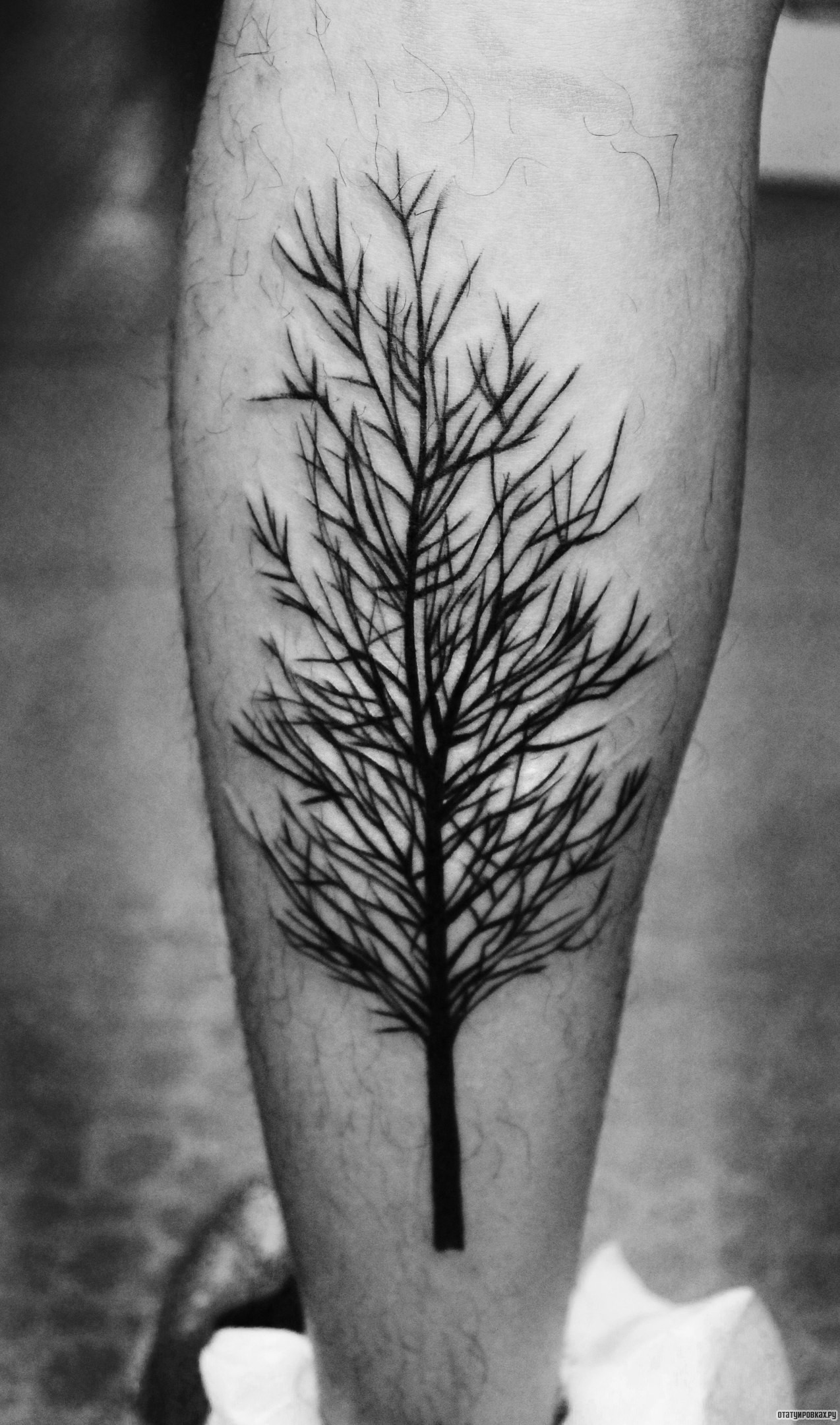 Фотография татуировки под названием «Дерево черное»