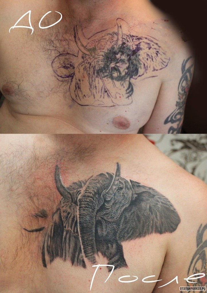Фотография татуировки под названием «Слон с клыками»