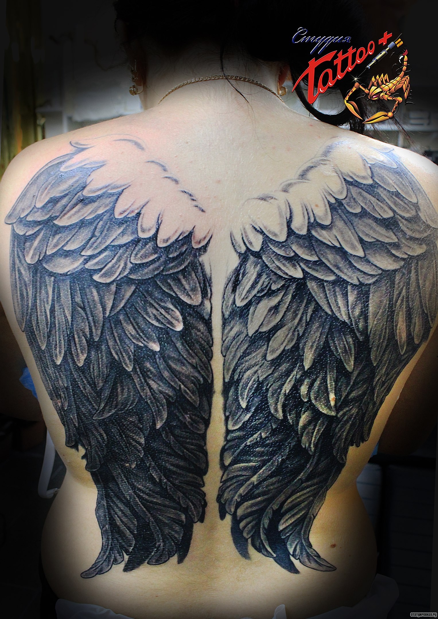 Фотография татуировки под названием «Крылья массивные»
