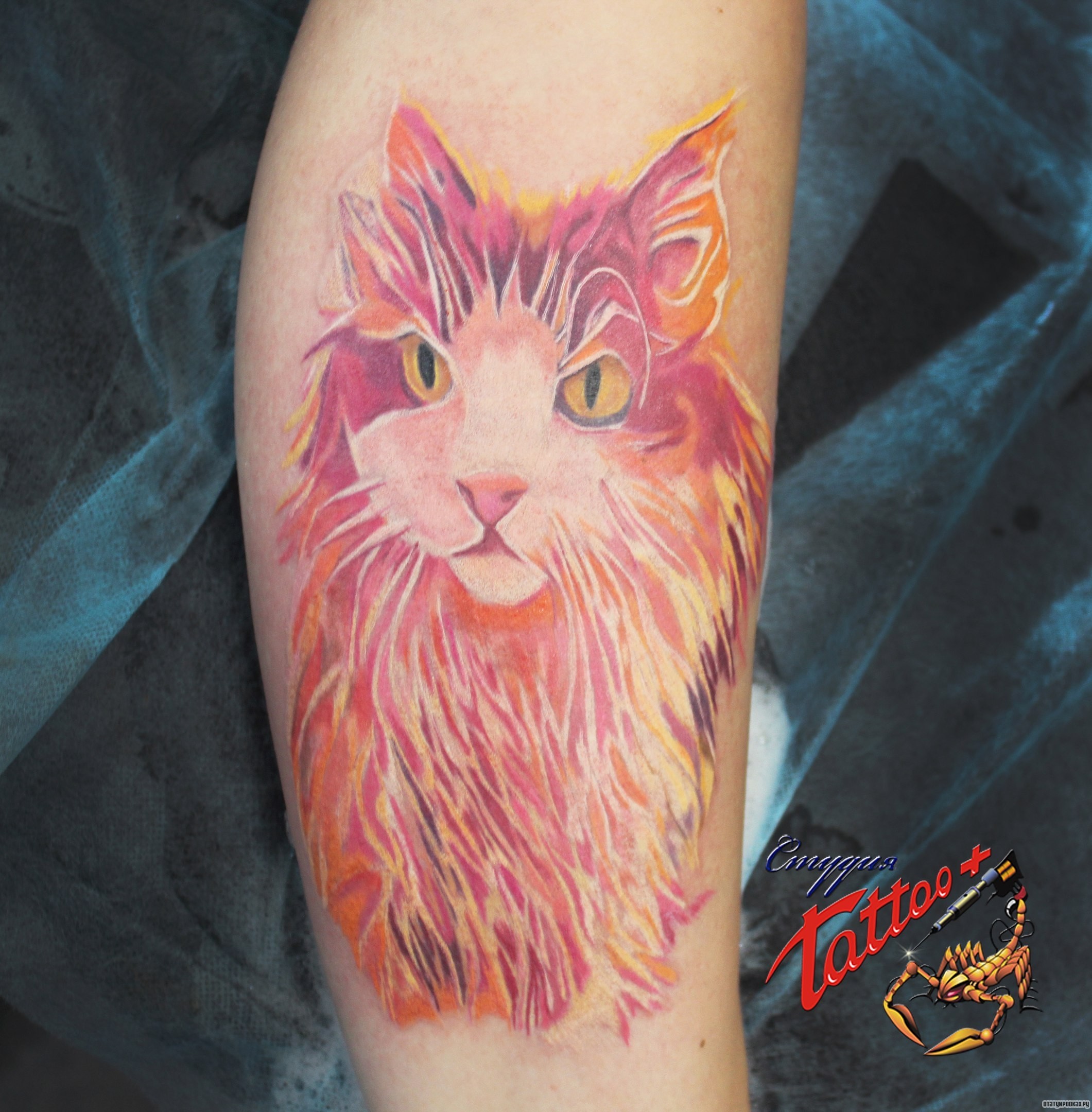 Фотография татуировки под названием «Огненный красный кот»