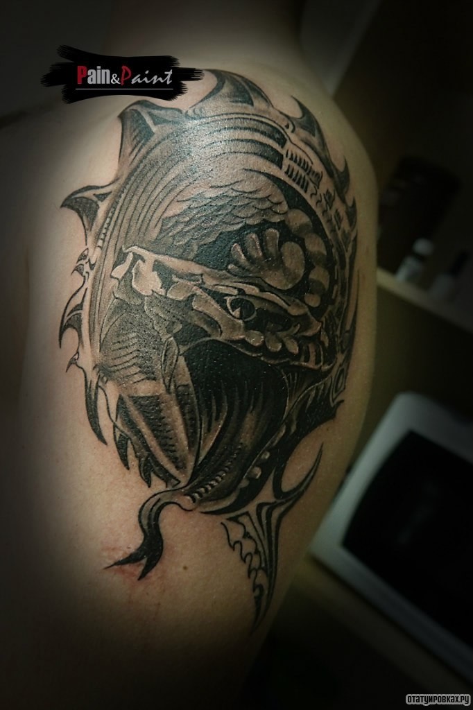 Фотография татуировки под названием «Змея и узор»