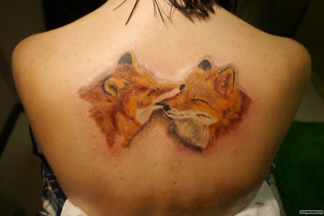 Фотография татуировки под названием «Две лисы на спине»