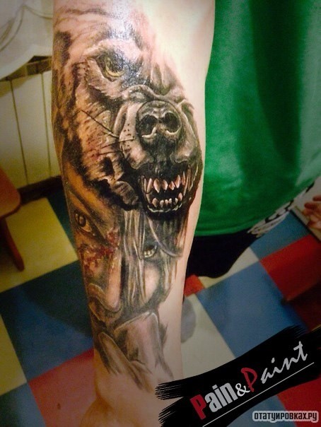 Фотография татуировки под названием «Клыки медведя»