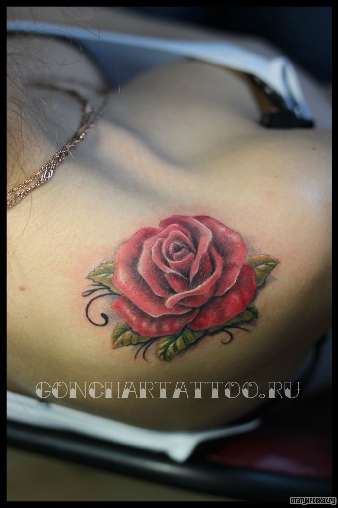 Фотография татуировки под названием «Нежная роза»