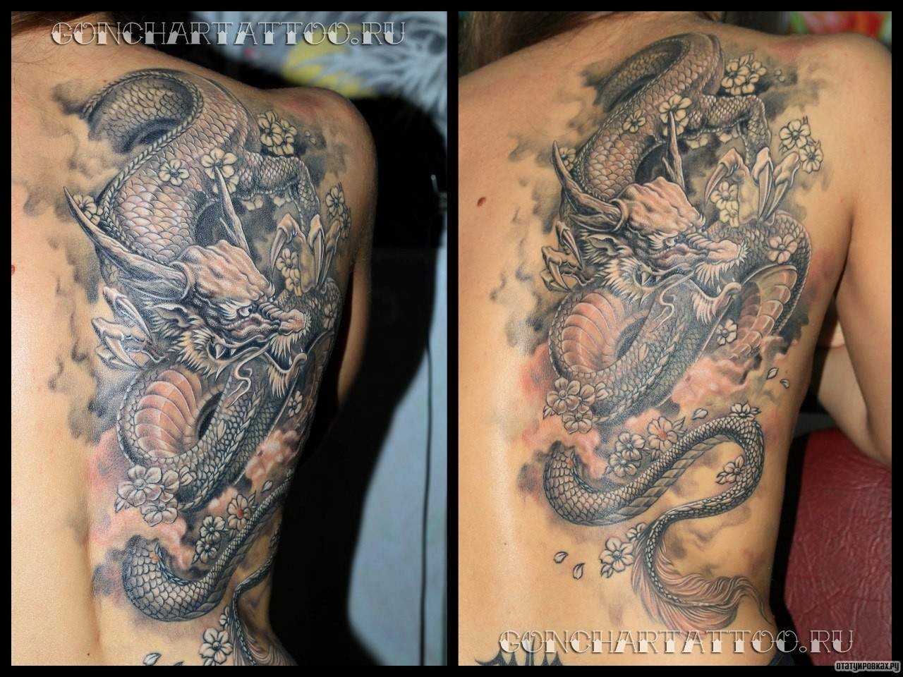 Фотография татуировки под названием «Японский дракон с цветы сакуры»
