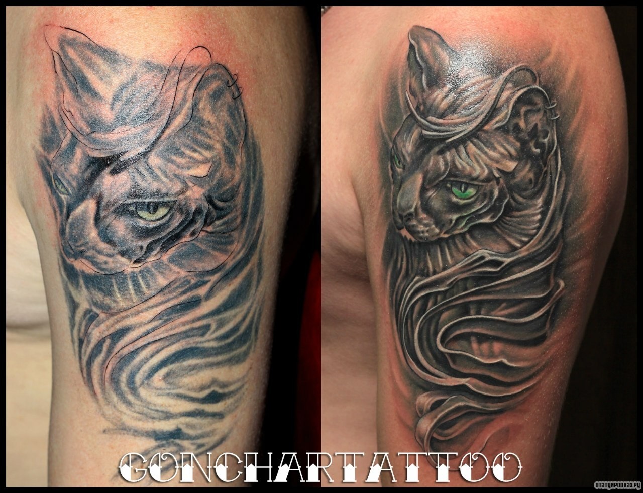 Фотография татуировки под названием «Кот с узором»