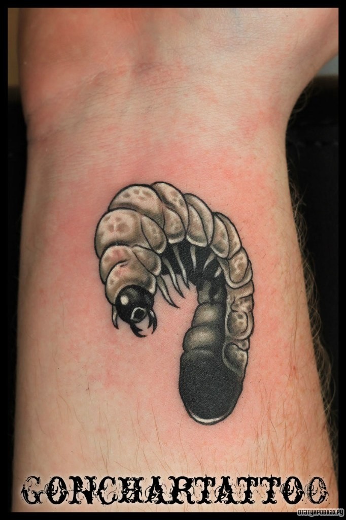 Фотография татуировки под названием «Гусеница»