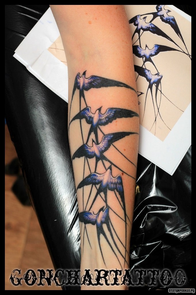 Фотография татуировки под названием «Пять ласточек»