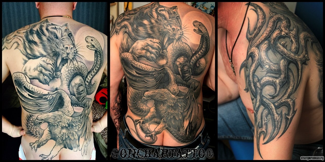 Фотография татуировки под названием «Сражение тигра и змеи с орлом»