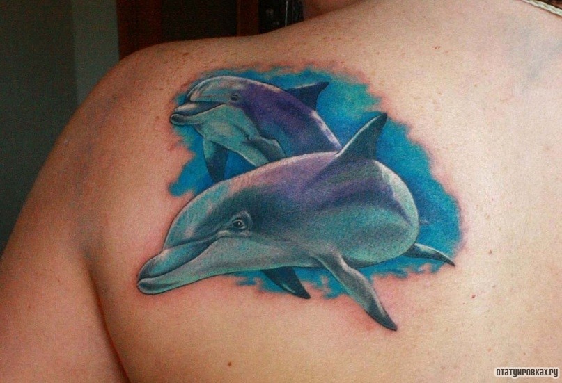 Фотография татуировки под названием «Два дельфина»