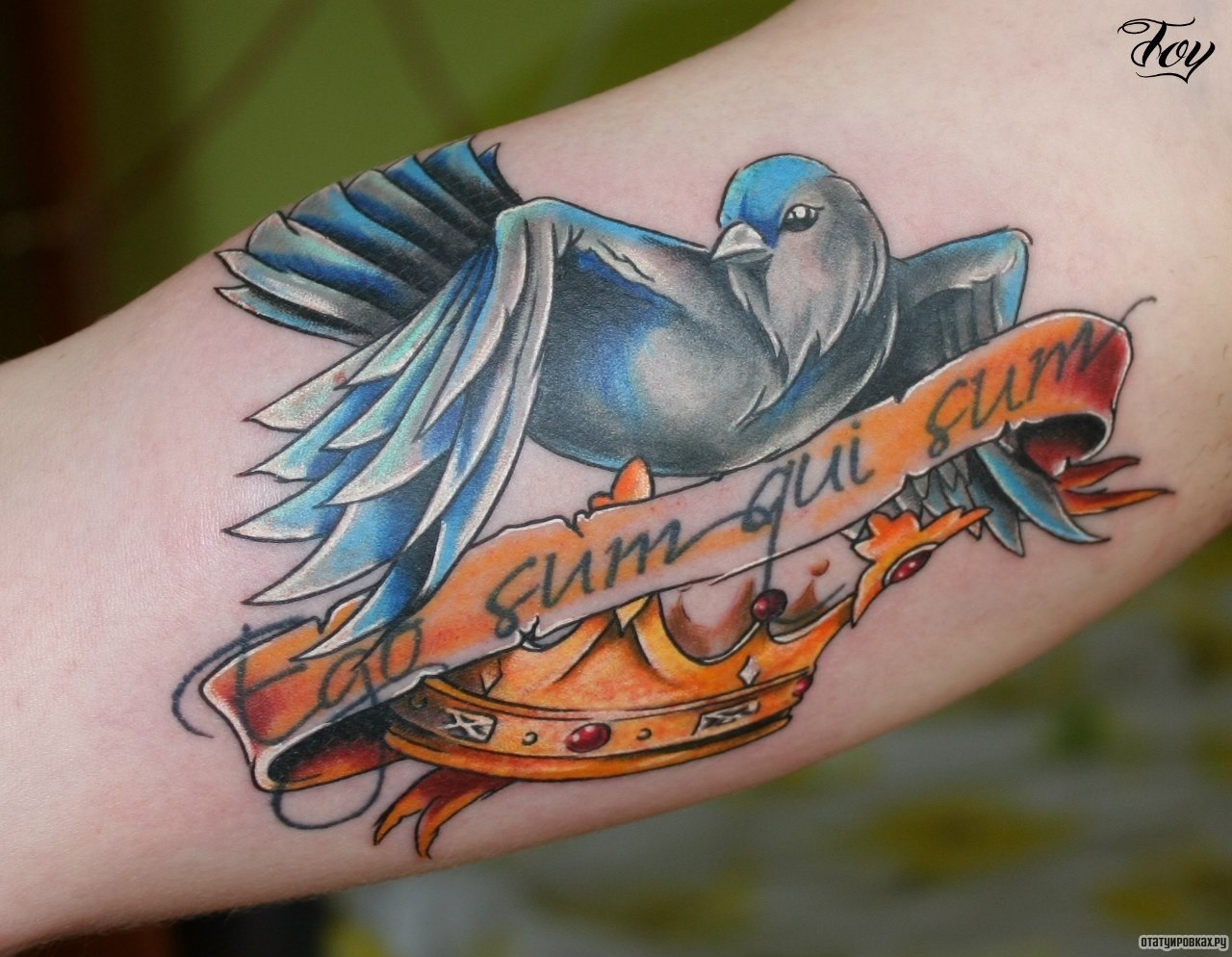 Фотография татуировки под названием «Ласточка и лента с короной»