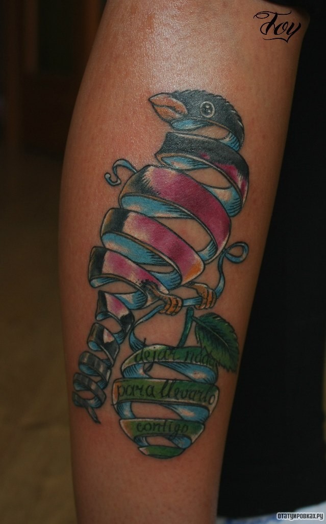 Фотография татуировки под названием «Птичка и яблоко как пружина»