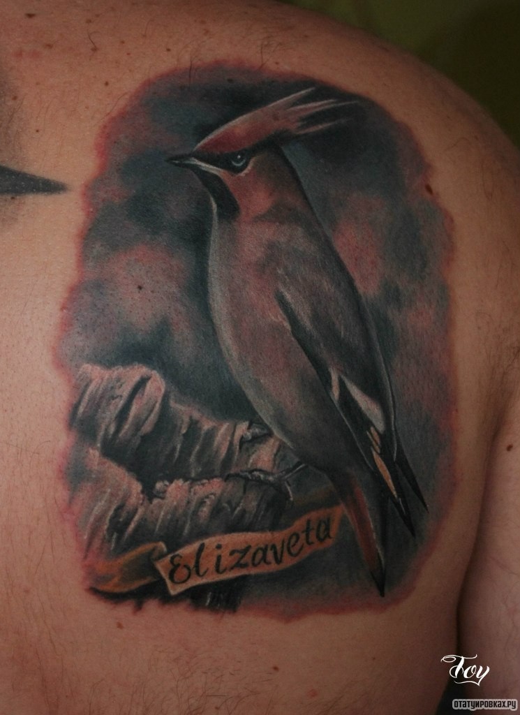 Фотография татуировки под названием «Птичка»