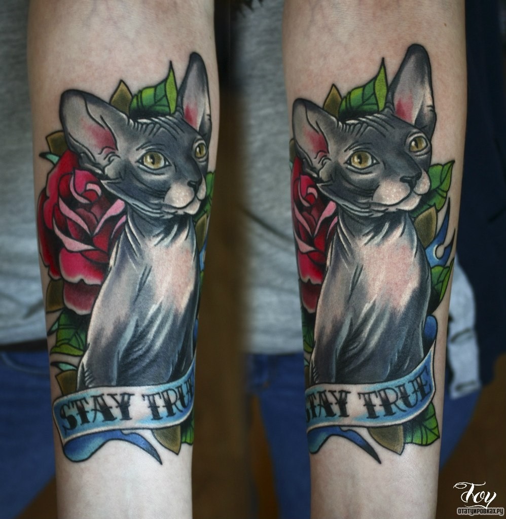 Фотография татуировки под названием «Кот сфинкс и лента с розой»