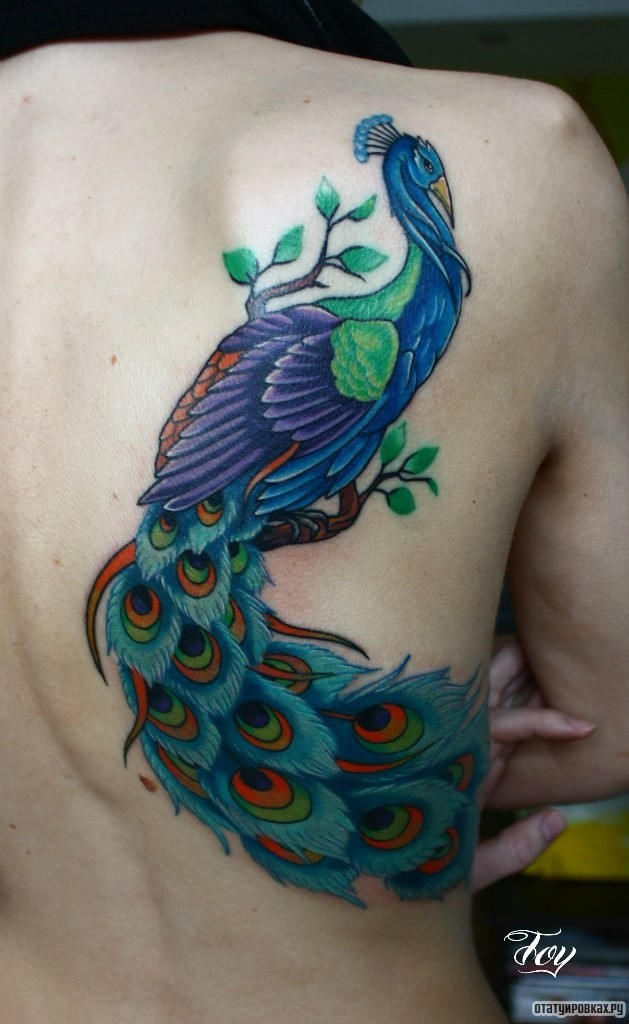 Фотография татуировки под названием «Красивый павлин»