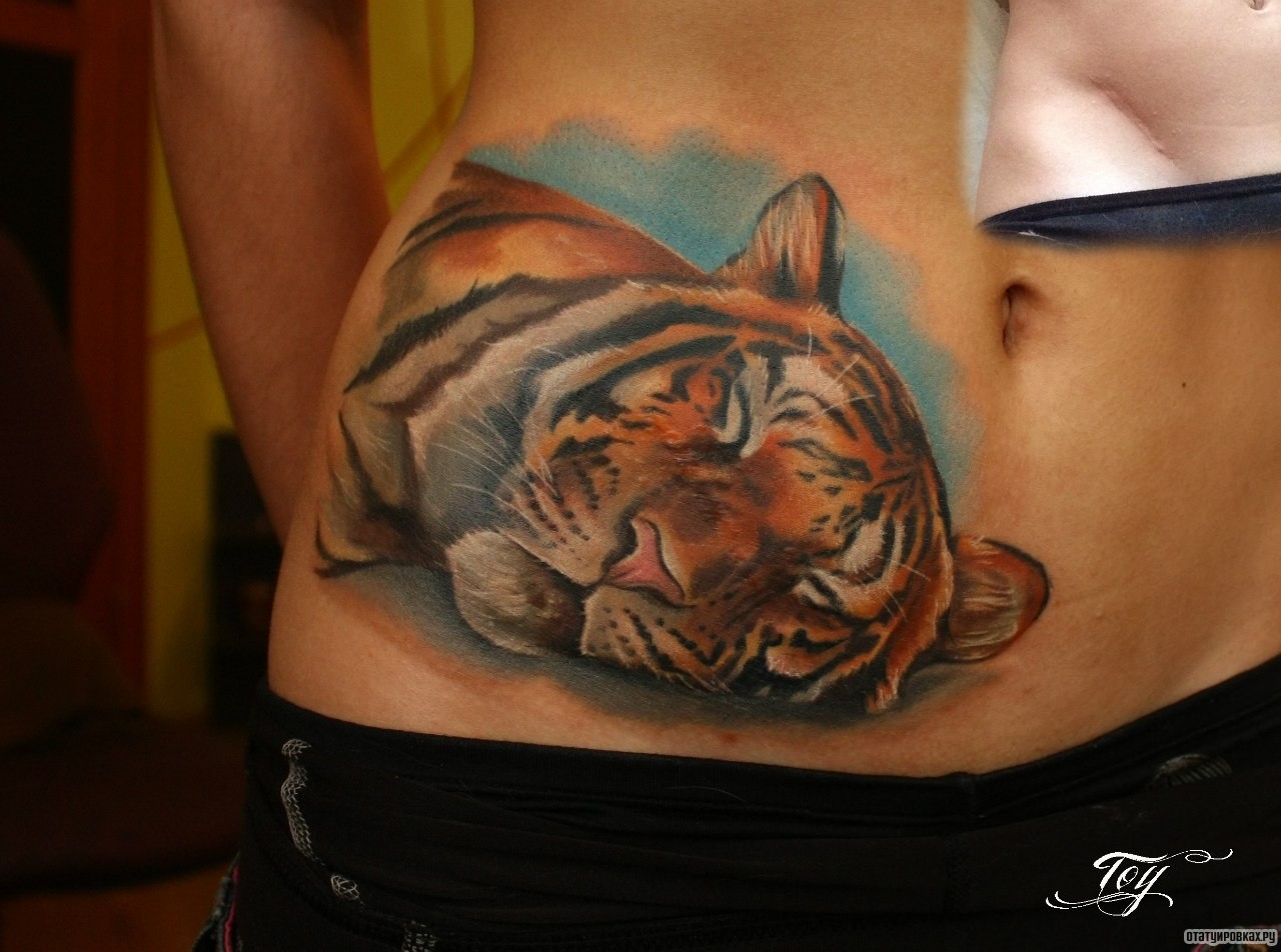 Фотография татуировки под названием «Тигр отдыхает»