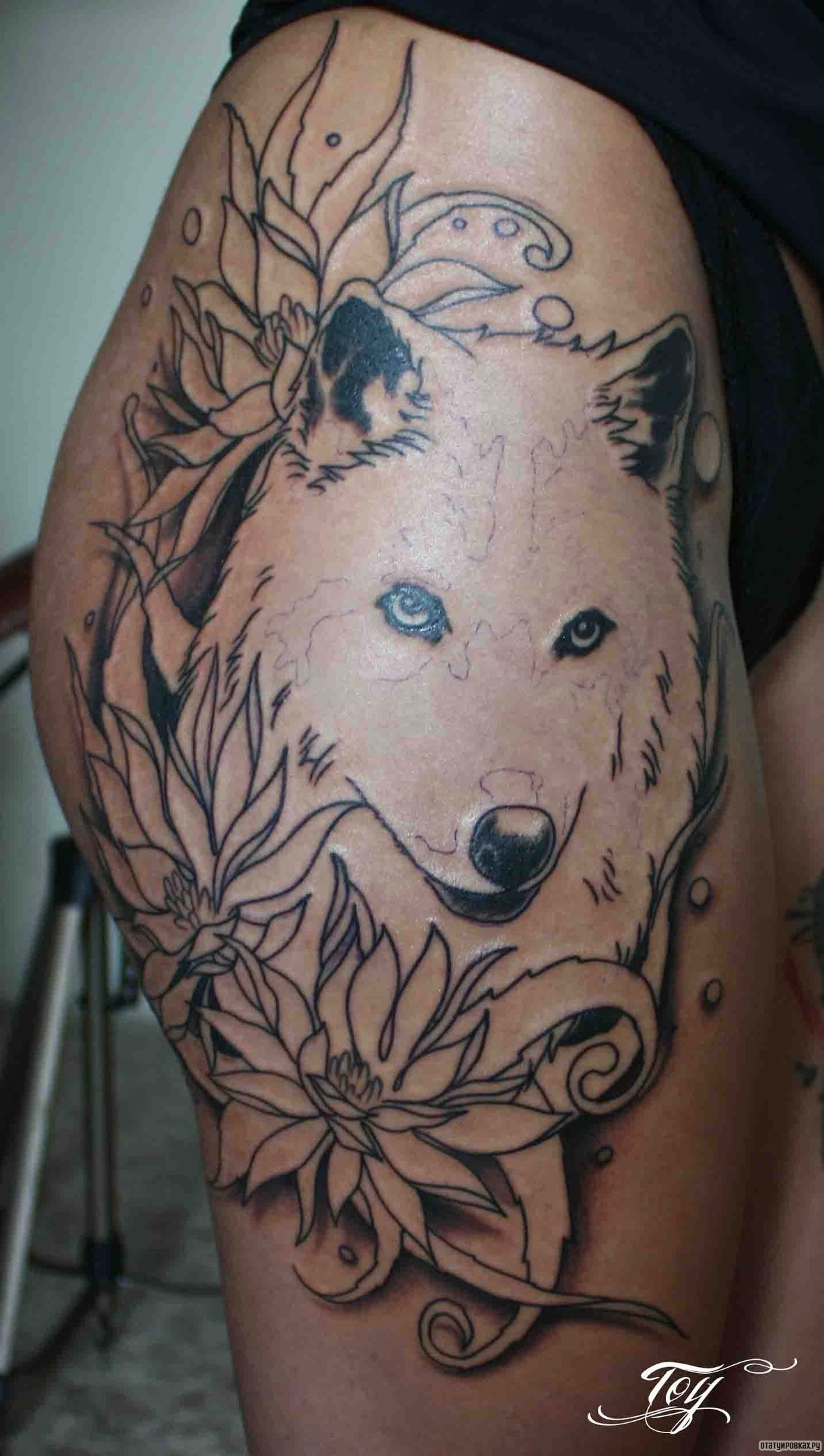 Фотография татуировки под названием «Белый волк»