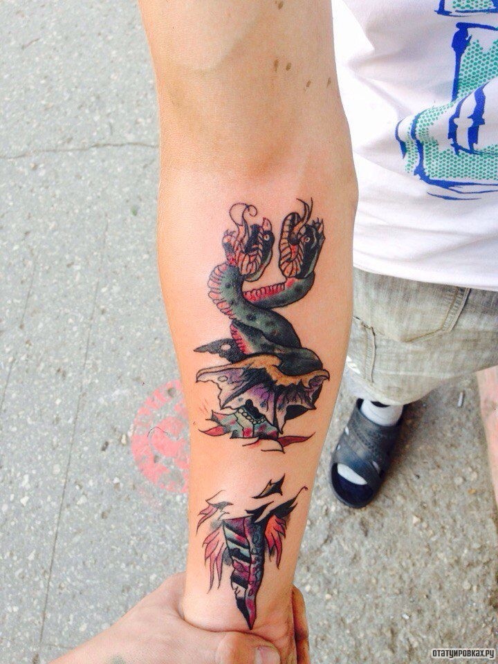 Фотография татуировки под названием «Две переплетенные змеи на предплечье»