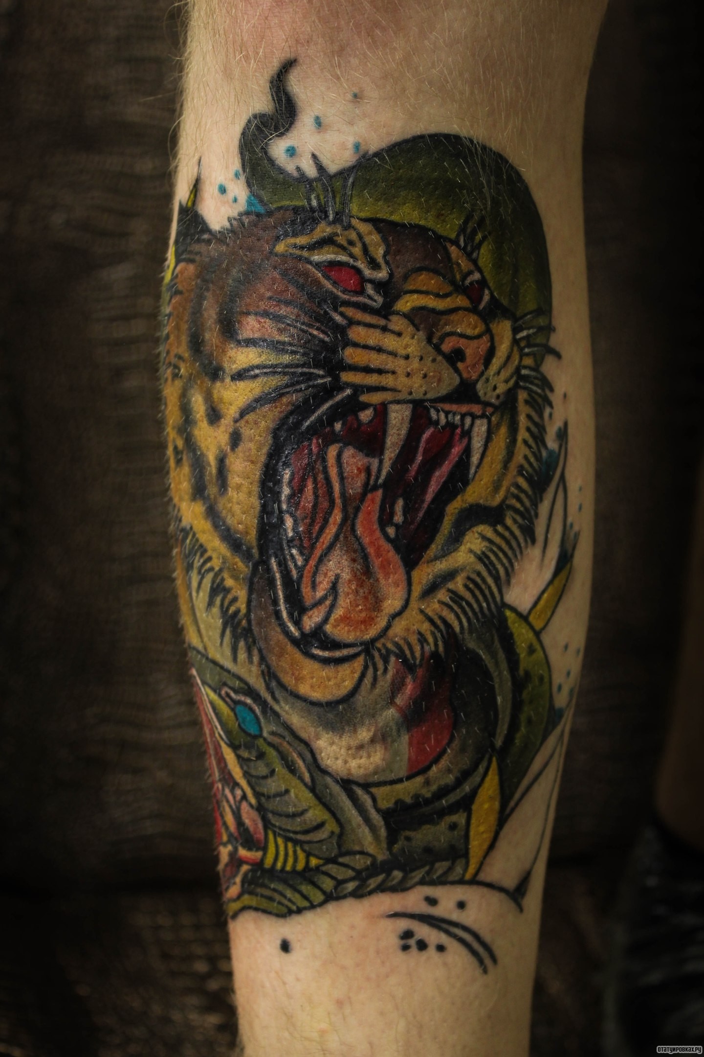 Фотография татуировки под названием «Оскал тигра на голени»