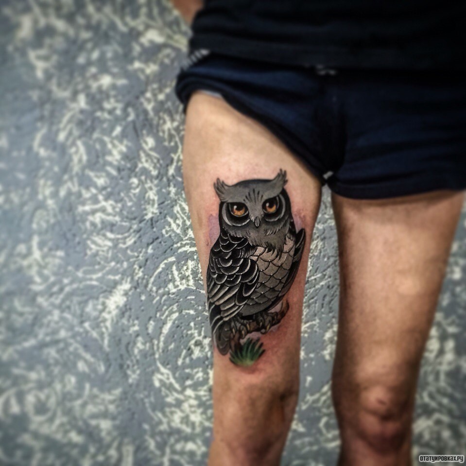 Фотография татуировки под названием «Сова на бедре»