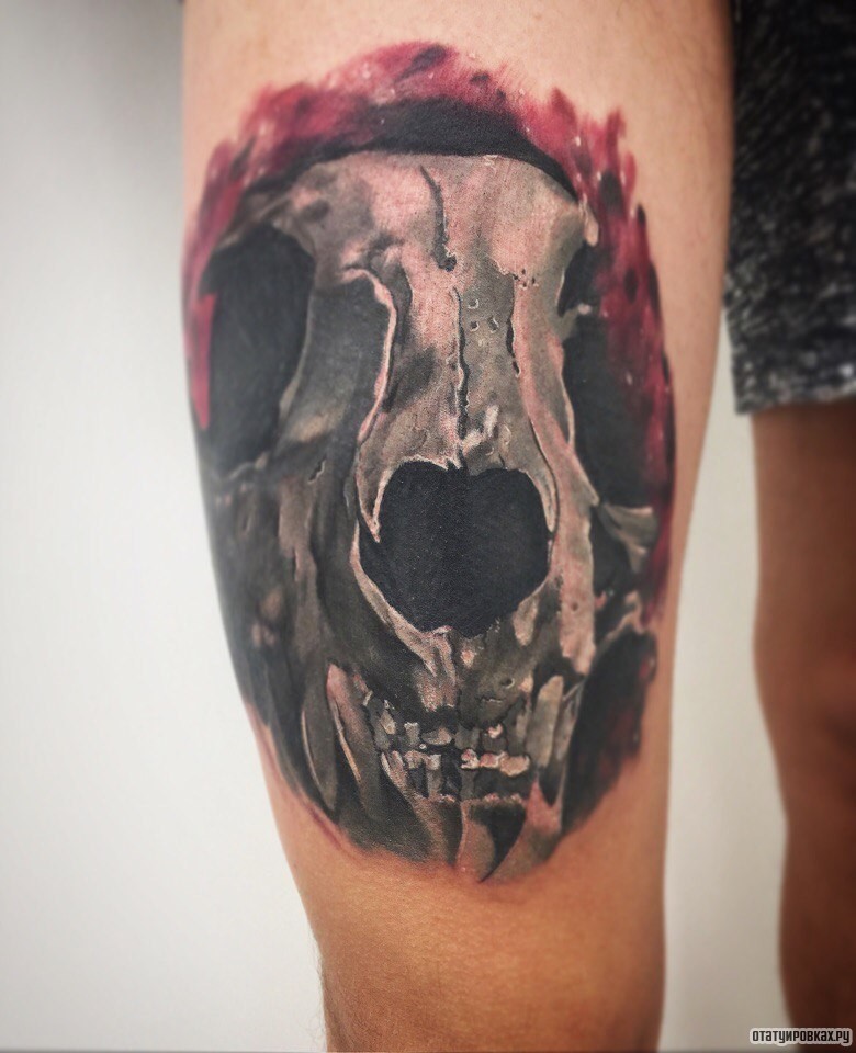 Фотография татуировки под названием «Череп животного на бедре»