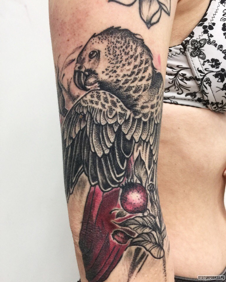 Фотография татуировки под названием «Орел на плече»