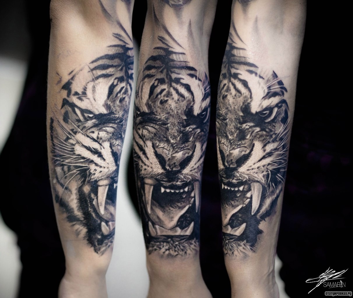 Фотография татуировки под названием «Оскал тигра на предплечье»