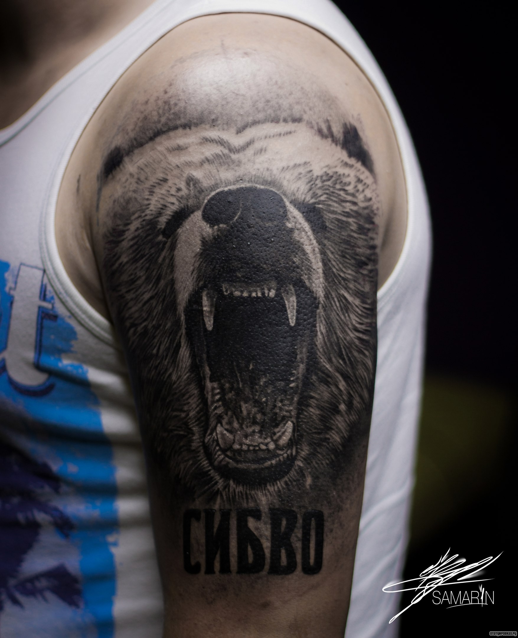 Фотография татуировки под названием «Оскал медведя сибво на плече»