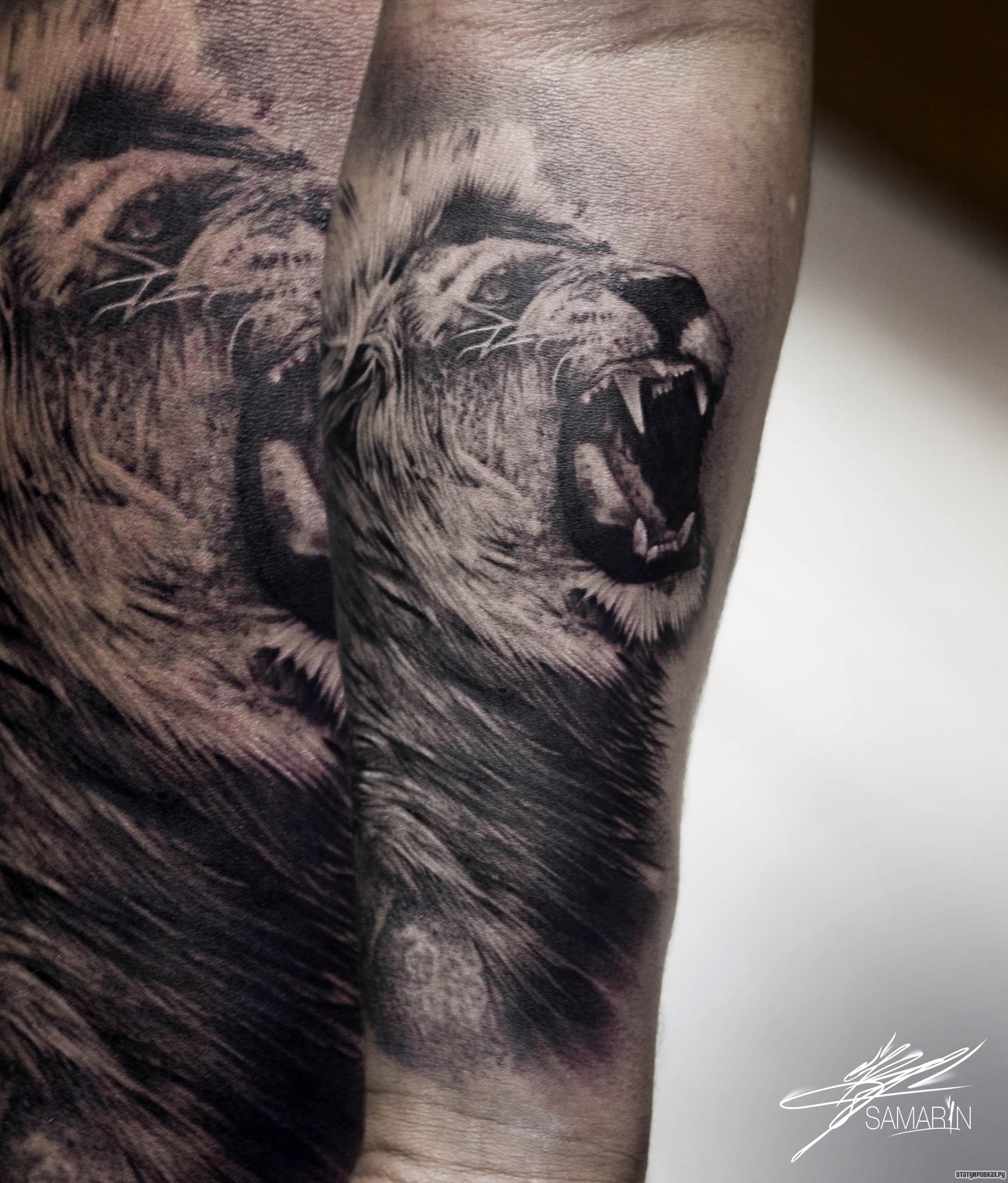 Фотография татуировки под названием «Оскал льва на предплечье»