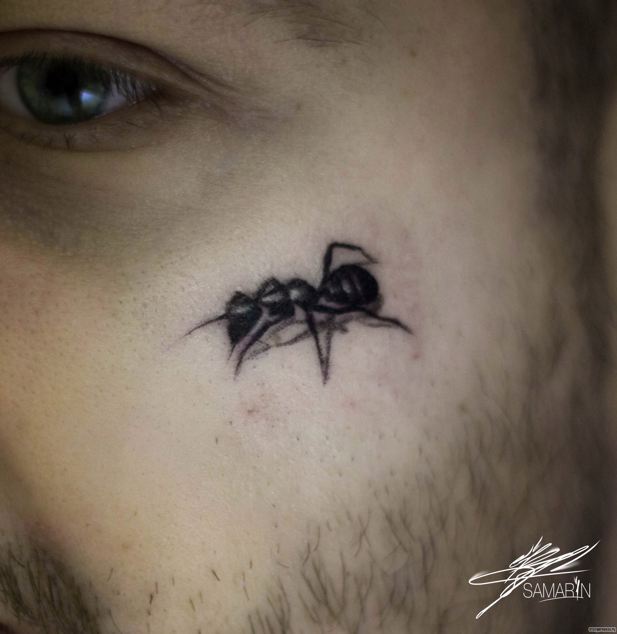 Фотография татуировки под названием «Муравей на лице»